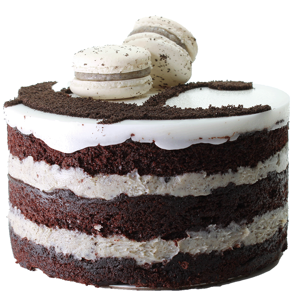 A Cookies & Cream cake with multiple layers, toped with icing, macarons and ampersand design.