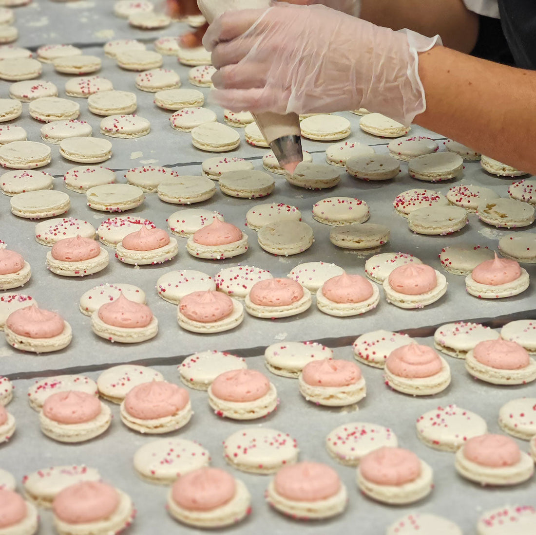 Who Is the Best Macaron Delivery Company in the UK? Here's How to Decide.