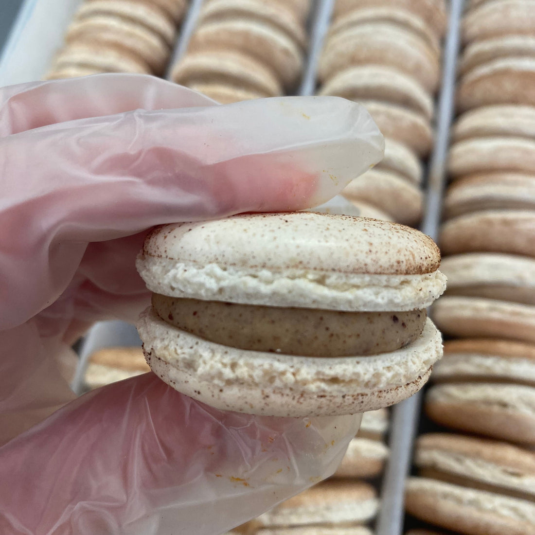 This week in the bakery…