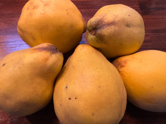 Poached Quince with Amaretto Sabayon