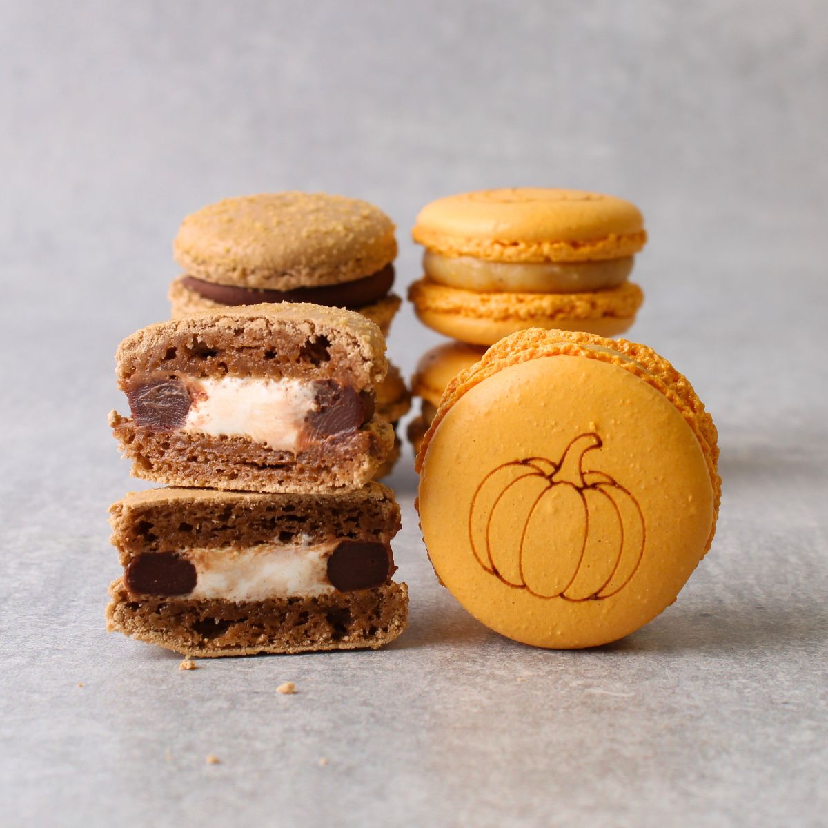 Engraved Autumn Macaron Selection - Box of 12