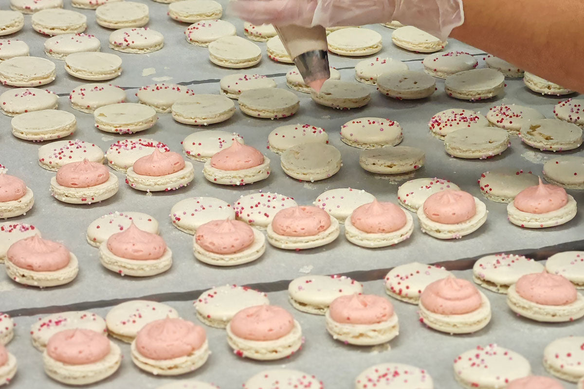 Person filling macarons with pink and white shell decoration.