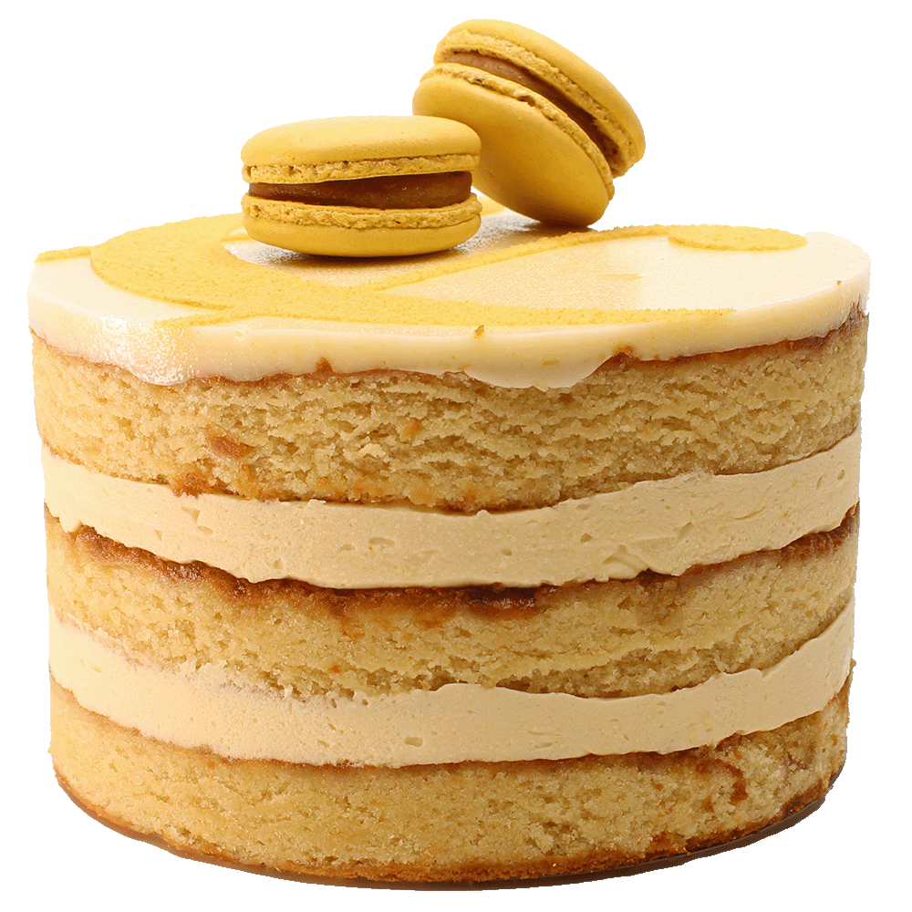 A Salted Caramel cake with multiple layers, toped with icing, macarons and a curly ampersand design.