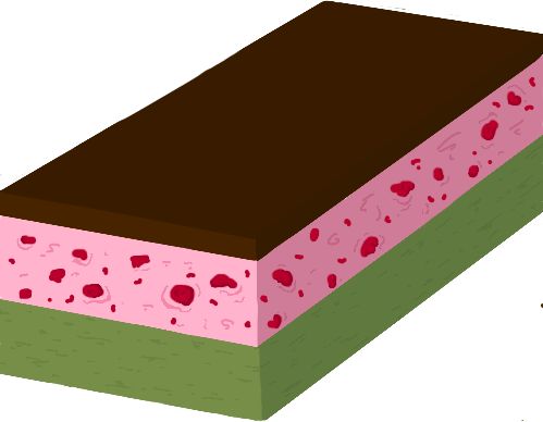 Green sponge base, speckled pink layer and chocolate topping.